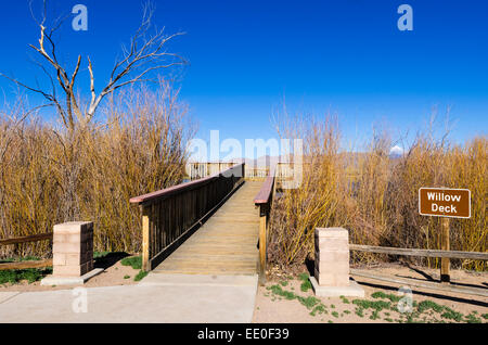 Pont d'observation à Bosque del Apache National Wildlife Refuge, Nouveau Mexique USA Banque D'Images