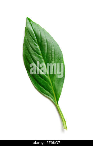 Basil leaf isolated on white Banque D'Images