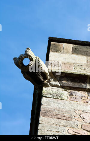 Une gargouille sur la Tour de Saint Botolph, Ratcliffe sur l'Wreake, Leicestershire, England, UK Banque D'Images