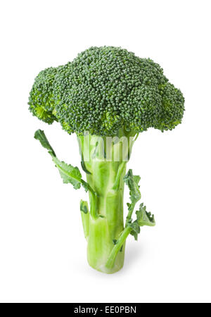 Le brocoli isolé sur un fond blanc Banque D'Images
