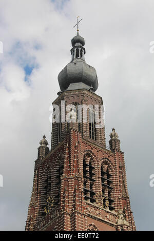 Sint-Katharinakerk, St Catharine's Church, Hoogstraten, Belgique Banque D'Images