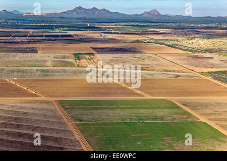 Vue aérienne de l'Agriculture en Marana, Arizona Banque D'Images