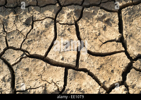 12.2005 la terre sèche à cause de la sécheresse et des changements climatiques Banque D'Images