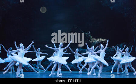 Cygnes dansé par les artistes de l'English National Ballet. Danseurs de l'English National Ballet effectuer à la répétition générale du ballet classique Le Lac des définie sur la musique de Piotr Ilyitch Tchaïkovski. Le ballet se déroule du 7 au 18 janvier 2015 au London Coliseum. Chorégraphie de Derek Deane après Marius Petipa et Lev Ivanov. Gavin Sutherland dirige l'Orchestre philharmonique de l'English National Ballet. Cast : : Alina Cojocaru est Odette/Odile, Ivan Vasiliev comme Prince Siegfried et James Streeter comme Rothbart. Banque D'Images