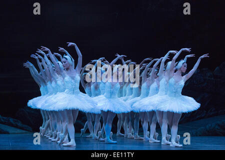 Danseurs de l'English National Ballet effectuer à la répétition générale du ballet classique Le Lac des définie sur la musique de Piotr Ilyitch Tchaïkovski. Le ballet se déroule du 7 au 18 janvier 2015 au London Coliseum. Chorégraphie de Derek Deane après Marius Petipa et Lev Ivanov. Gavin Sutherland dirige l'Orchestre philharmonique de l'English National Ballet. Cast : : Alina Cojocaru est Odette/Odile, Ivan Vasiliev comme Prince Siegfried et James Streeter comme Rothbart. Banque D'Images