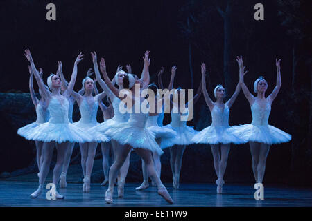 Cygnes dansé par les artistes de l'English National Ballet. Danseurs de l'English National Ballet effectuer à la répétition générale du ballet classique Le Lac des définie sur la musique de Piotr Ilyitch Tchaïkovski. Le ballet se déroule du 7 au 18 janvier 2015 au London Coliseum. Chorégraphie de Derek Deane après Marius Petipa et Lev Ivanov. Gavin Sutherland dirige l'Orchestre philharmonique de l'English National Ballet. Cast : : Alina Cojocaru est Odette/Odile, Ivan Vasiliev comme Prince Siegfried et James Streeter comme Rothbart. Banque D'Images