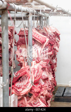 Produits de boucherie. Les porcs transformés en abattoir sur l'industrie de la viande Banque D'Images