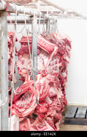 Abattoir suspendu à crochets métalliques rail dans une chambre froide sur l'industrie de la viande Banque D'Images