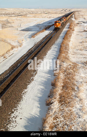 Ligne de transport ferroviaire BNSF le charbon par l'Est du Montana Banque D'Images