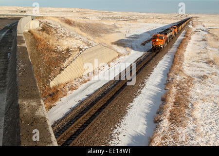 Un train ligne BNSF transporte du charbon de l'Absaloka Mine dans l'Est du Montana, USA Banque D'Images