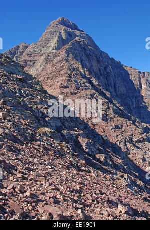 Colorado 14er, Pyramid Peak, le wapiti des montagnes Rocheuses, la plage Banque D'Images