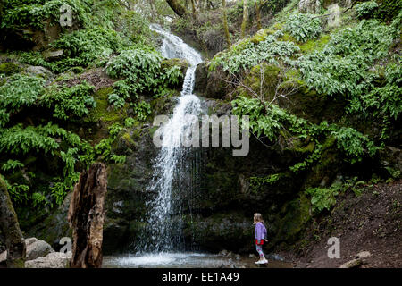 Jeune fille à la recherche jusqu'à Arroyo de San Jose Cascade, Novato, Californie, USA Banque D'Images