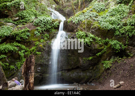 Arroyo de San Jose cascade, Novato, Californie, USA Banque D'Images