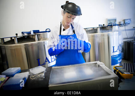 Des biobanques de cellules souches Banque D'Images