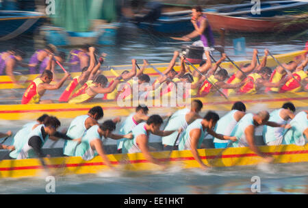 Dragon Boat Race, de Shau Kei Wan, Hong Kong Island, Hong Kong, Chine, Asie Banque D'Images