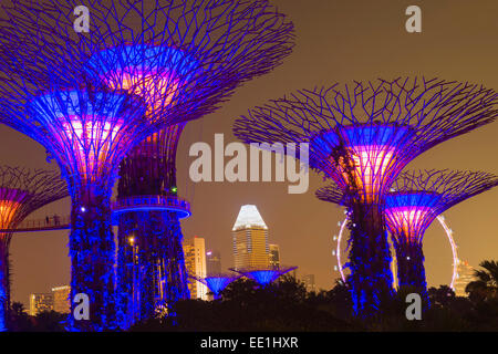 Jardins par la baie de nuit, à Singapour, en Asie du Sud-Est, l'Asie Banque D'Images