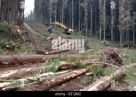 La machine d'abattage forestier, Waikato, île du Nord, Nouvelle-Zélande, Pacifique Banque D'Images