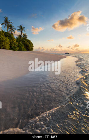 La lumière du matin sur une plage déserte sur une île dans le Nord de l'Atoll d'Huvadhoo, Maldives, océan Indien, Asie Banque D'Images