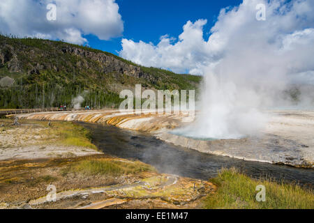 Cliff Geyser dans le bassin de sable noir, Parc National de Yellowstone, UNESCO World Heritage Site, Wyoming, USA Banque D'Images