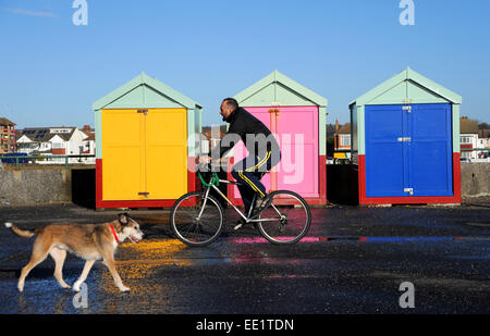 Brighton, UK. 13 janvier, 2015. Météo France : Les gens bénéficiant de la douceur du temps ensoleillé sur Hove front aujourd'hui tandis que d'autres parties du Royaume-Uni ont été touchée par la neige. Banque D'Images