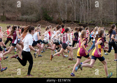 L'Assemblée Knole Run Sevenoaks School cross country 15 jeunes 16 17 ans 6 mile run six équipes en course d'endurance difficiles Banque D'Images