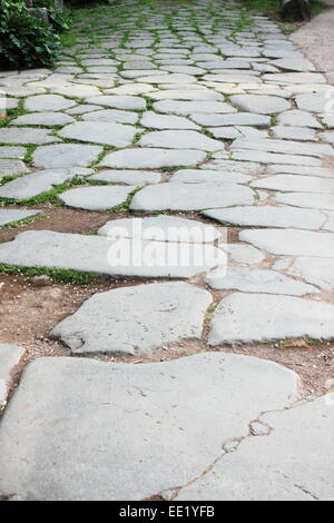 Chaussée de bloc dans le forum romain de Rome, Italie Banque D'Images