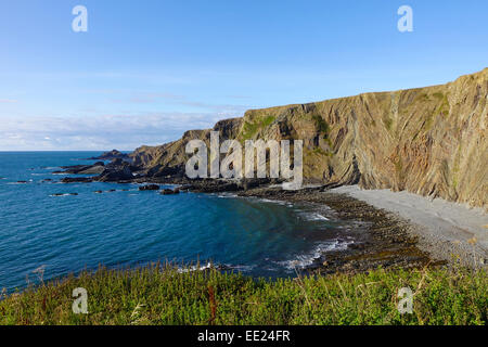 'Hartland Quay' Devon England UK 'Royaume-Uni' dans le soleil Banque D'Images