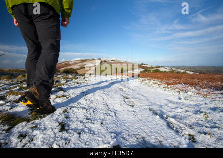 Un gros plan d'une colline walker en marchant le long du chemin d'Offas Dyke sur penycloddiau vers Moel y Parc dans la gamme Clwydian hills sur la frontière de Flintshire et Denbighshire, Wales, UK Banque D'Images