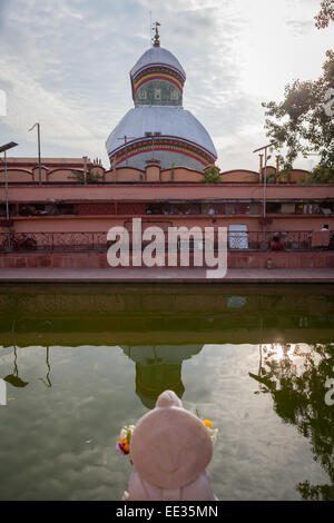 Réservoir d'eau sainte, Temple Kalighat à Calcutta. Banque D'Images