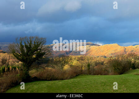 La lumière sur les collines, Little Langdale, Parc National de Lake District, Cumbria, Angleterre, Royaume-Uni Banque D'Images