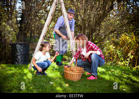 Multi-generation family récolte des pommes, Munich, Bavière, Allemagne Banque D'Images