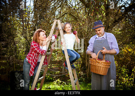 Multi-generation family récolte des pommes, Munich, Bavière, Allemagne Banque D'Images