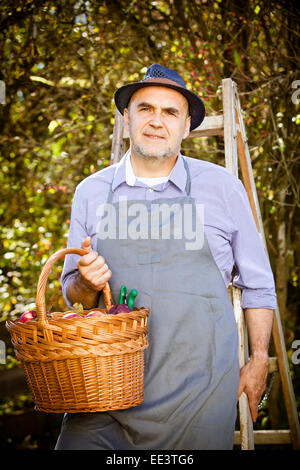 Senior man holding panier de pommes, Munich, Bavière, Allemagne Banque D'Images