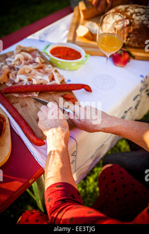 Famille faire un pique-nique dans le jardin, Munich, Bavière, Allemagne Banque D'Images