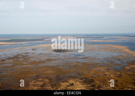 Le parc naturel du lac Engure : mosaïque de roseaux Banque D'Images