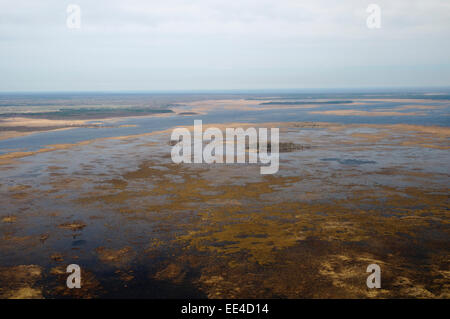 Le parc naturel du lac Engure : mosaïque de roseaux Banque D'Images