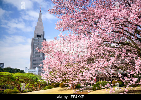 Tokyo, Japon le printemps au parc de Shinjuku Gyoen. Banque D'Images