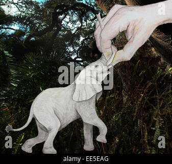 Nous prenons l'ivoire et de l'éléphant de sorte que l'espèce est presque porté à l'extinction. Banque D'Images