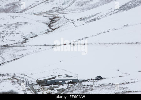 Ceredigion, pays de Galles, Royaume-Uni. 14 janvier, 2015. Une ferme de moutons près de Eisteddfa Gurig. Des conditions hivernales persistent sur les hauteurs le long de l'A44 qui relie les Midlands à Aberystwyth, sur la côte de Ceredigion. Credit : atgof.co/Alamy Live News Banque D'Images