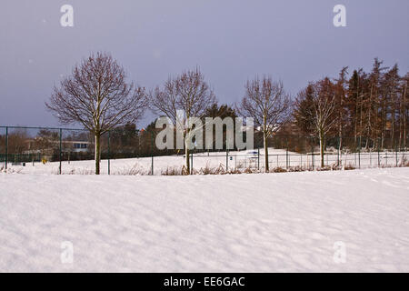 Dundee, Écosse, Royaume-Uni, le 14 janvier, 2015. UK Met Office : Météo alerte jaune Questions de fortes averses de neige pour disparaître progressivement Dundee devenir pluvieux et venteux ce soir. Plus d'accumulation de 2 à 5 cm de neige sont probablement au-dessus d'environ 100 m sur la moitié nord de l'Écosse où un autre 10 cm ou plus est probablement au-dessus de 200 m. Credit : Dundee Photographics/Alamy Live News Banque D'Images