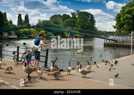 UK, Londres, Twickenham, le père et les enfants nourrir les canards et les oies au bord de la rivière Thames Banque D'Images