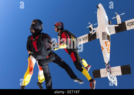 L'équipe de parachutisme est holding hand ensemble après qu'ils ont sauté d'un avion. Ils ainsi s'amuser et jouer dans le ciel bleu. Banque D'Images