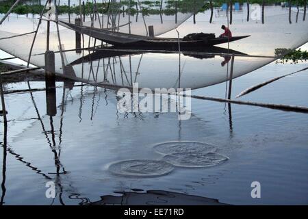 Bangladesh 10 janvier 2015. Prendre du poisson pêcheur avec filet de pêche dans le district de Sunamganj zones haor. Banque D'Images