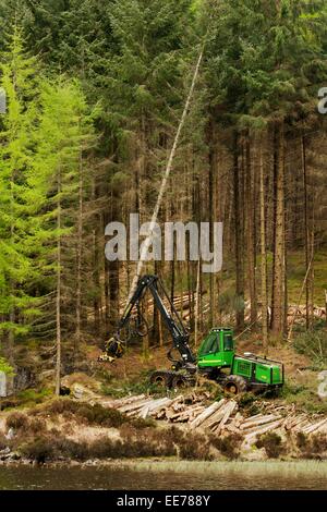 John Deere 1270D Harvester dans une forêt de bois d'abattage dans l'ouest de l'Écosse. Un exemple de machines pour la récolte de bois résineux. Banque D'Images