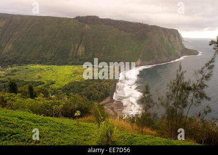 Waipi'o Valley vue panoramique. Grande île. Hawaii. Waipiʻo Valley est une vallée située dans le district de Hamakua la Grande Île Banque D'Images