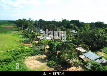 Bangladesh 10 janvier 2015. Vue supérieure de la national park gazipur au Bangladesh. Banque D'Images