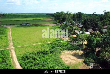 Bangladesh 10 janvier 2015. Vue supérieure de la national park gazipur au Bangladesh. Banque D'Images