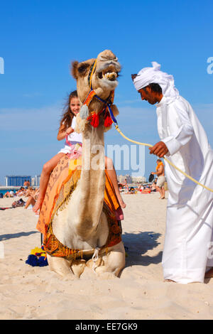 Camel sur la plage de Jumeirah, Dubaï Banque D'Images