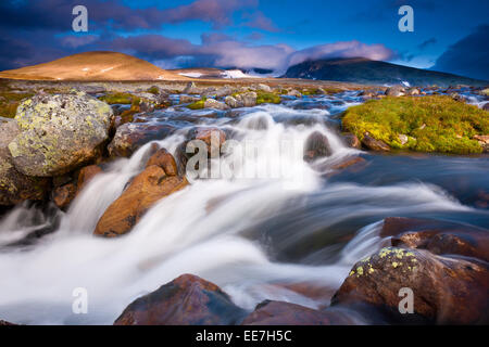 Rivière près de Snøheim dans le Parc National de Dovrefjell, Dovre, la Norvège. Les montagnes Snøhetta, 2286 m, est recouvert de brume. Banque D'Images