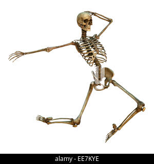 Numérique 3D render of a human skeleton danse isolé sur fond blanc Banque D'Images